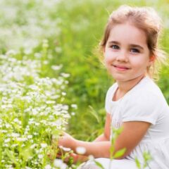 Spinalchiropracticinc